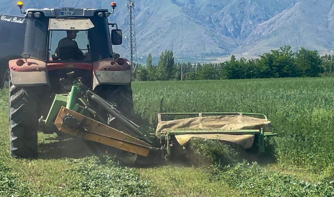 Erzincan Belediyesi,&nbsp;“Üretken Belediyecilik” anlayışıyla sürdürdüğü tarımsal üretim çalışmaları kapsamında,&nbsp;kendisine ait
