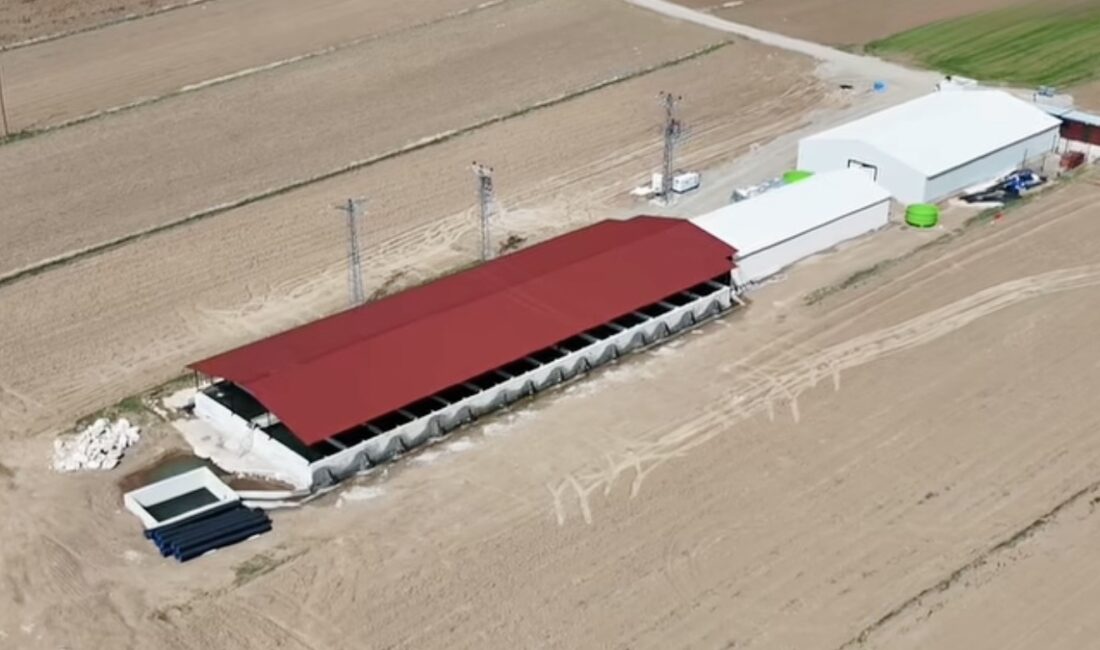 Erzincan’ın Tercan ilçesine bağlı Büklümdere Köyü, bölge ekonomisine büyük katkı