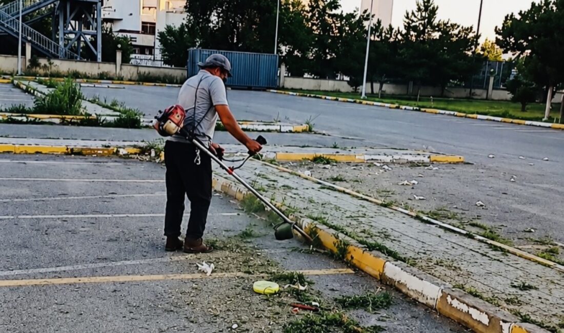Erzincan Ağız ve Diş Sağlığı Eğitim ve Araştırma Hastanesi, hasta