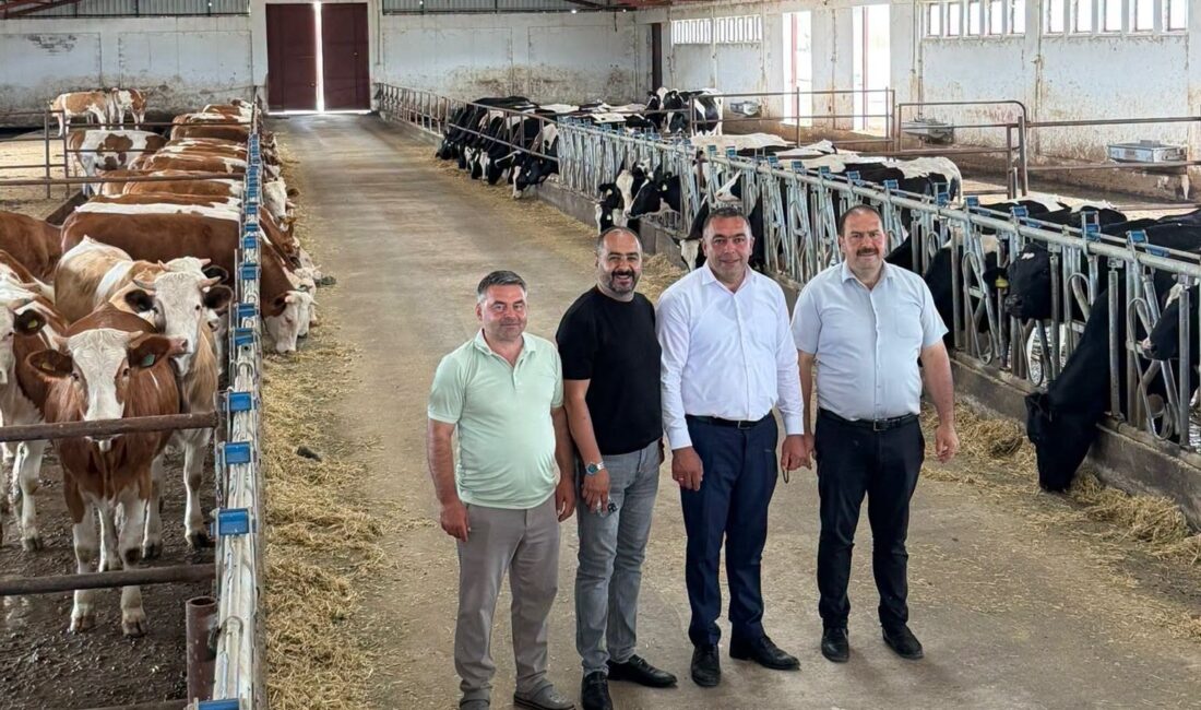 Erzincan Damızlık Sığır Yetiştiricileri Birliği (DSYB) Başkanı Emrah Duran, Birliğe