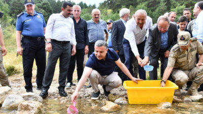 Gümüşhane’nin Kelkit ilçesine bağlı Çimenli Köyü, doğa koruma ve biyolojik