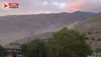 Erzincan’ın en gözde dinlenme alanlarından biri olan ve zengin kuş
