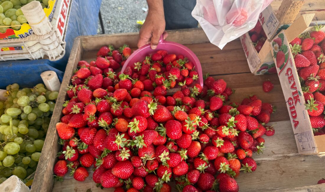 Sert iklim yapısıyla bilinen Erzincan’da yetişen ve eşsiz aromasıyla damaklarda