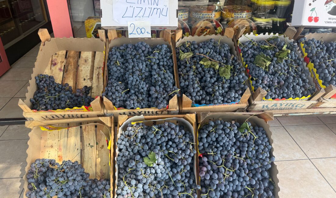 Erzincan’ın coğrafi işaret tescilli ünlü markası Cimin üzümünde beklenen hasat