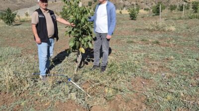 Erzincan Bahçe Kültürleri Araştırma Enstitüsü uzmanları, çiftçilerden gelen talepler üzerine