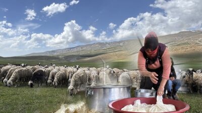 Kuzeydoğu Anadolu Kalkınma Ajansı (KUDAKA), Erzurum, Erzincan ve Bayburt’taki coğrafi