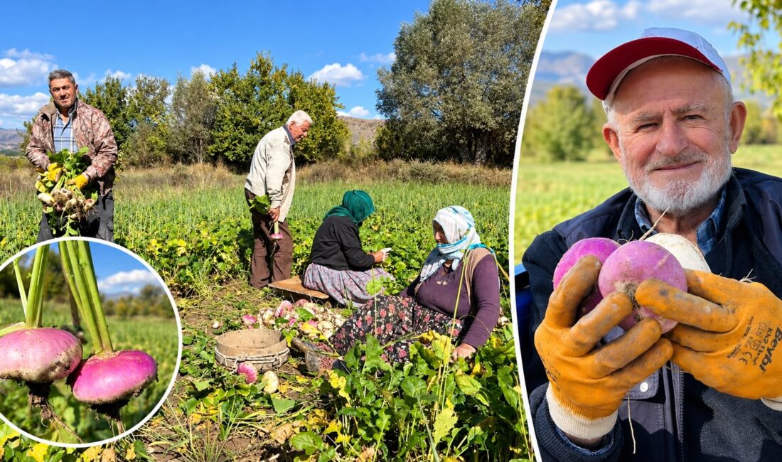 Erzincan’ın mikroklima iklim özellikleri, temiz su kaynakları ve verimli tarım