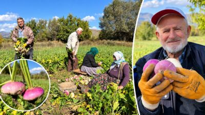 Erzincan’ın mikroklima iklim özellikleri, temiz su kaynakları ve verimli tarım