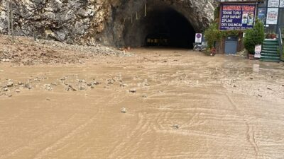 Kemaliye ilçesinde akşam saatlerinde etkili olan yoğun yağmur ve dolu