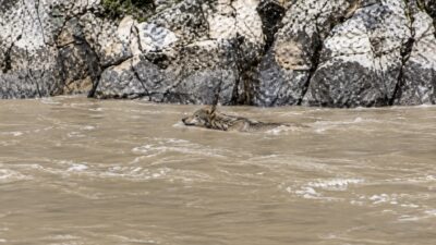 Erzincan’ın İliç ilçesinde bulunan Aydınlık Kanyon’da tekne turuna çıkan doğaseverler,