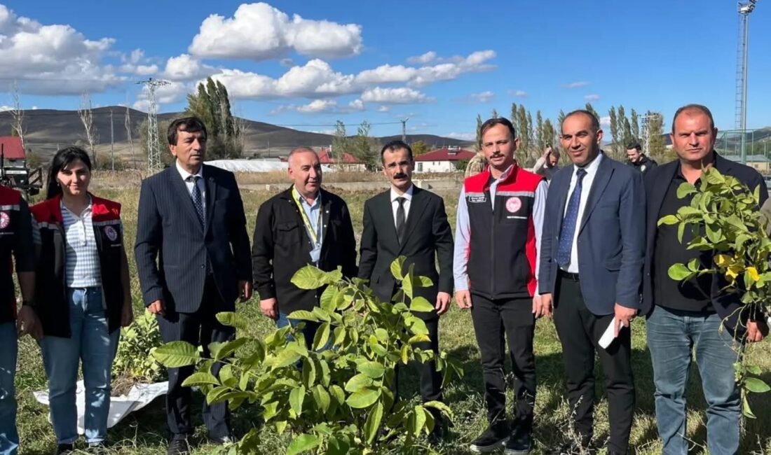 Erzincan’ın Çayırlı ilçesinde BOTAŞ’ın destekleriyle temin edilen ceviz fidanları, düzenlenen
