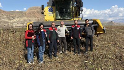 Erzincan’ın Çayırlı ilçesinde devam eden ayçiçeği hasadında, ürün kayıplarının önüne