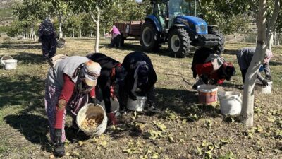 Erzincan’ın Kemah ilçesine bağlı Özdamar köyünde yaklaşık 1400 dönüm arazi