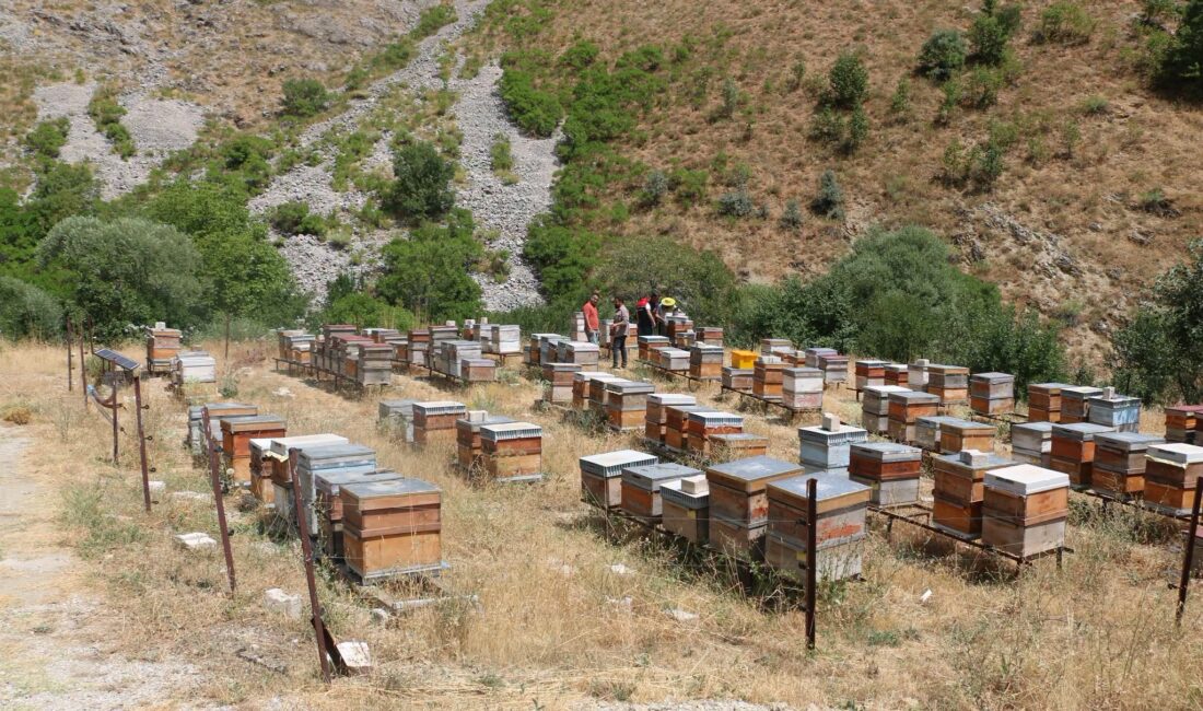 Erzincan İl Tarım ve Orman Müdürlüğü, 2026 yılı arıcılık desteklemelerine