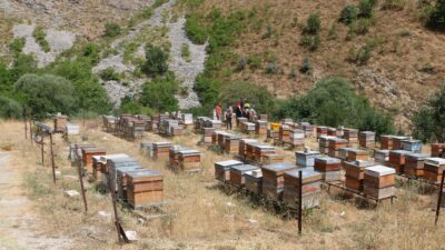 Erzincan İl Tarım ve Orman Müdürlüğü, 2026 yılı arıcılık desteklemelerine